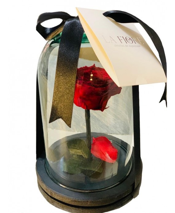 Rosa eterna preservada en cupula de cristal, elaborada en un proceso que la  mantiene intacta de hasta 10 años