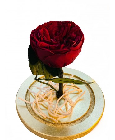 Rosa Inglesa Preservada